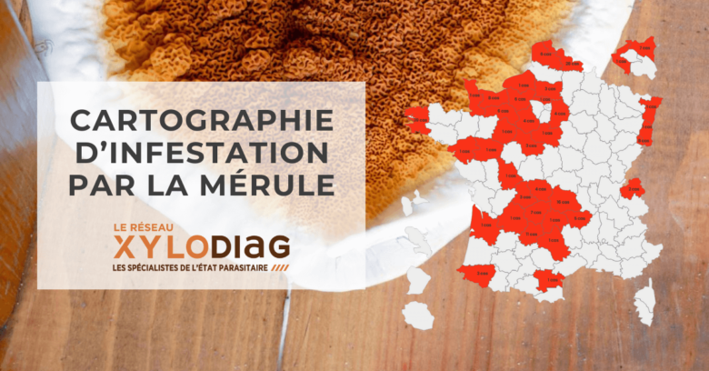 Cartographie d'infesttion par la mérule